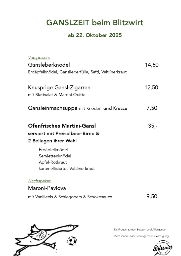 GANSLZEIT beim Blitzwirt 2025 (002)